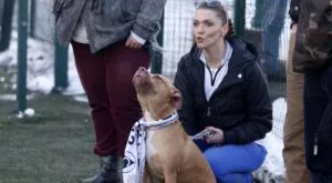 Не са само феновете на Левски - България отписа футбола на живо
