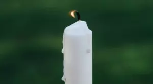 2021/08/31/0397789001630395734